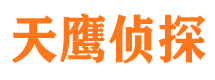 定结外遇调查取证